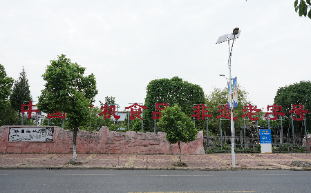 當(dāng)定制葛粉時，我們真正在選擇什么？